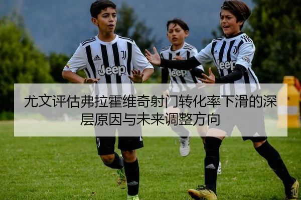 尤文评估弗拉霍维奇射门转化率下滑的深层原因与未来调整方向